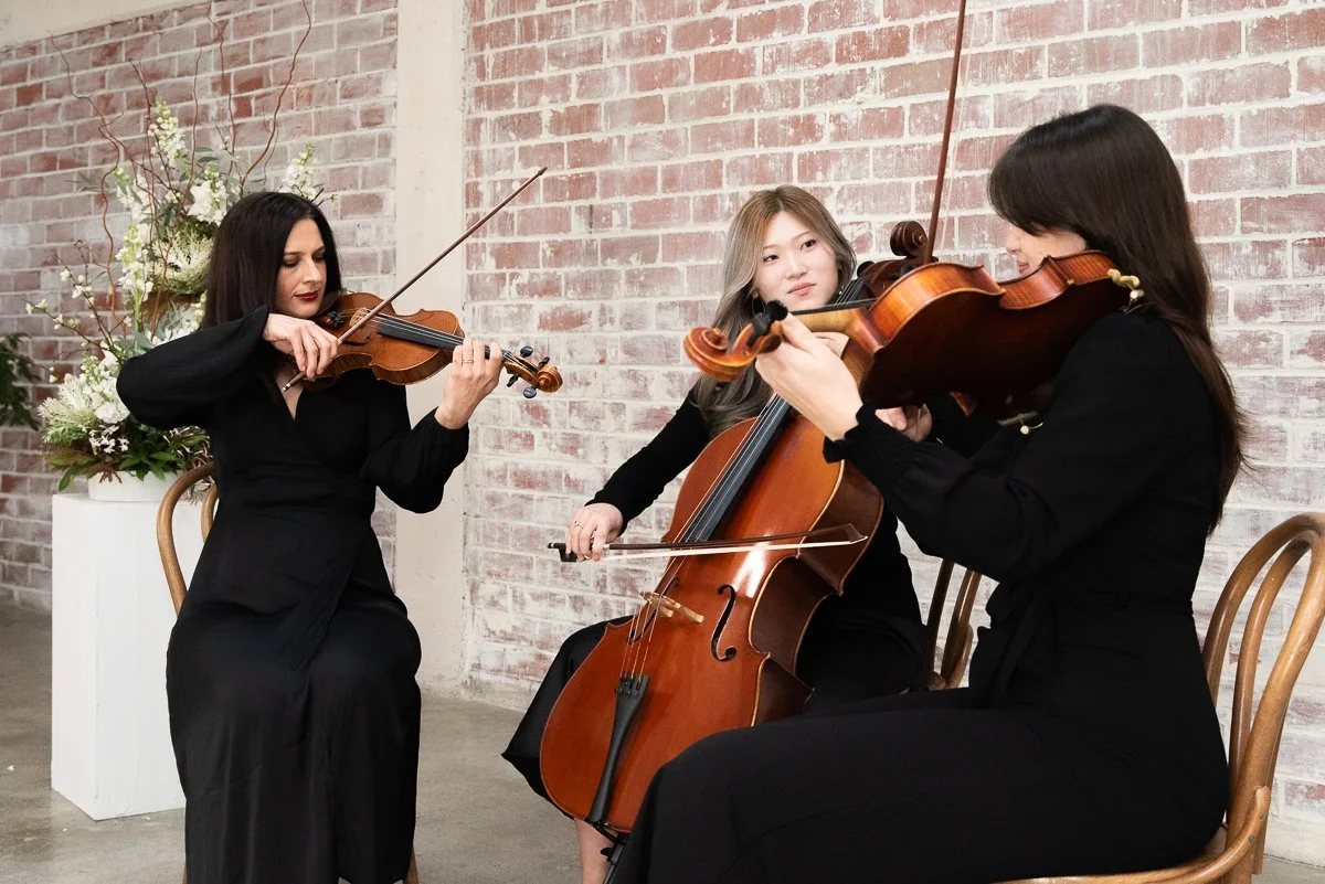 How to Choose the Perfect String Ensemble for Your Wedding or